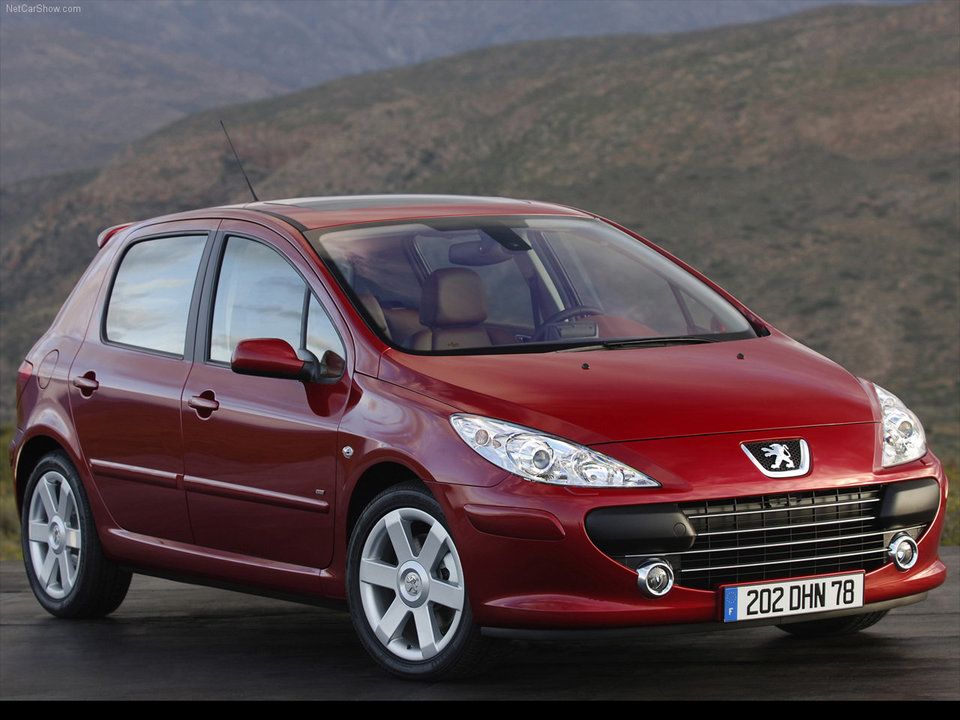 Peugeot / 307